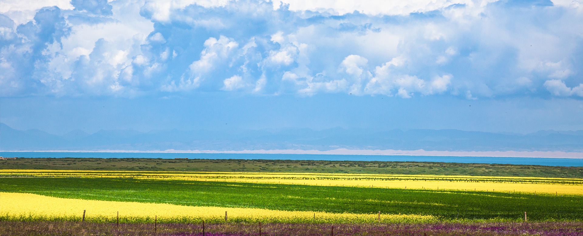 高绿�q�环境科技